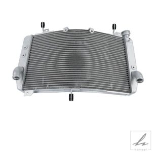 ヤマハ YZF-R1 R1 2015-2025 R1M 2015-2024 YZF R1S 2016-2018 用オートバイラジエーター冷却 部品 カスタムパーツ アクセサリー